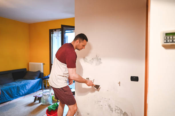 Best Best Mold Removal Companies  in North Tonawanda, NY